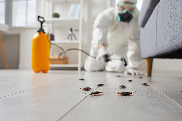 Commercial Rodent Management in Otsego